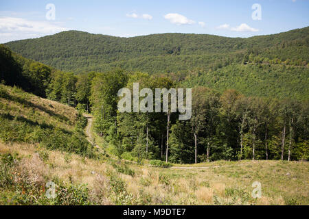 National Park Aggletek Landschaft im Sommer, Ungarn Stockfoto