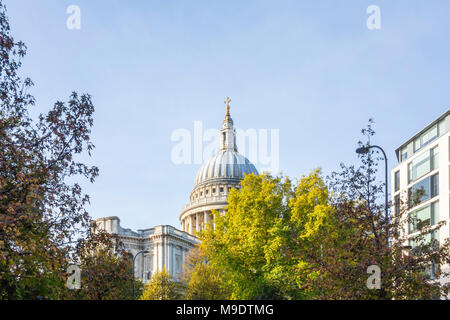 Die St Paul's Kathedrale Dome gesehen hinter Bäumen. Stadt von London, Großbritannien Stockfoto