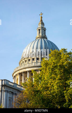 Die St Paul's Kathedrale Dome gesehen hinter Bäumen. Stadt von London, Großbritannien Stockfoto