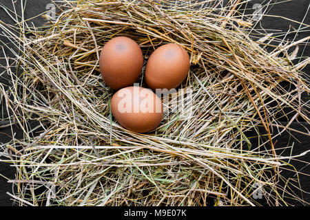 Drei braunen Hühnereier im Heu Nest Stockfoto