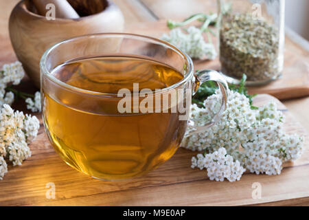 Eine Tasse schafgarbe Tee mit frischen Schafgarbe auf einer hölzernen Tisch Stockfoto