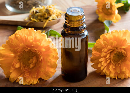 Eine dunkle Flasche calendula Öl auf einen hölzernen Tisch, mit Ringelblume Blumen im Vordergrund Stockfoto