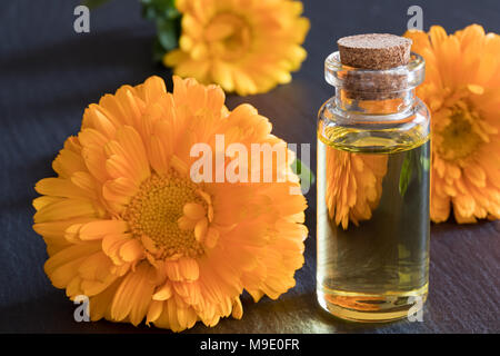 Eine transparente Flasche calendula Öl mit Ringelblume Blumen auf einem dunklen Hintergrund Stockfoto
