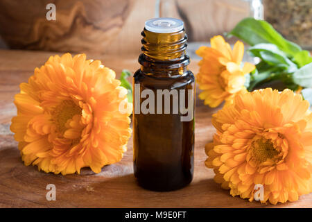 Eine Flasche calendula Öl auf einen hölzernen Tisch, mit Calendula Blüten im Hintergrund Stockfoto