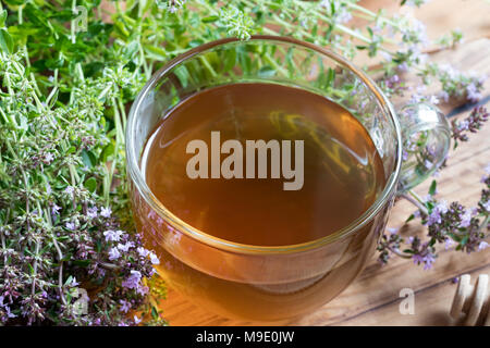 Eine Tasse schleichende Thymian (Thymus serpyllum) Tee mit frischen schleichende Thymian zweige auf einen hölzernen Tisch Stockfoto