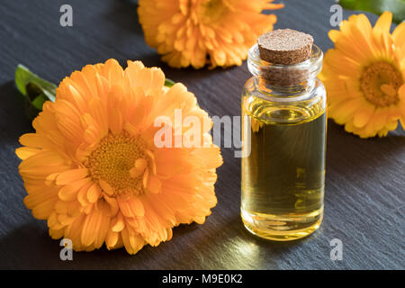 Eine Flasche calendula Öl mit Calendula Blüten im Hintergrund Stockfoto