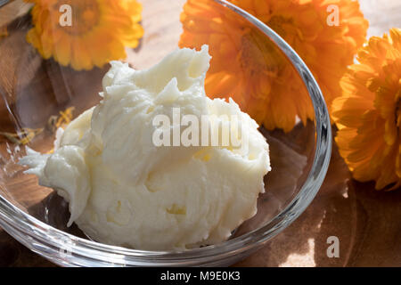 Calendula Creme in eine Glasschüssel, mit orange Ringelblume Blumen im Hintergrund Stockfoto