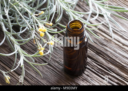 Eine Flasche helichrysum ätherisches Öl mit blühenden Helichrysum italicum im Hintergrund Stockfoto