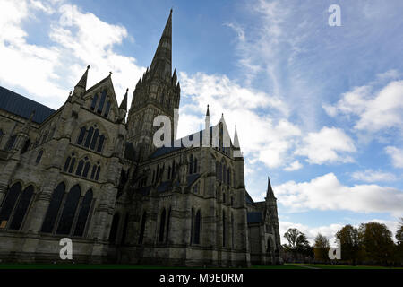 Die Kathedrale von Salisbury in herbstlichen Nachmittag Licht Stockfoto