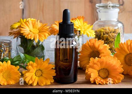 Eine Flasche calendula Öl auf einen hölzernen Tisch, mit Calendula Blüten im Hintergrund Stockfoto