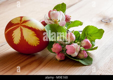 Osterei mit Zwiebeln Schalen mit einem Muster von frischen Kräutern gefärbt, mit Apple Blüten auf einem Holztisch Stockfoto