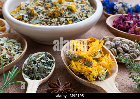 Getrocknete calendula auf einem Löffel aus Holz, mit anderen Kräutern im Hintergrund (kapuzinerkresse Samen, Kornblumen, Rosenblüten, Sternanis, Thymian, Rosmarin, alchemi Stockfoto