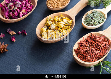 Kräuter auf holzlöffel auf einem dunklen Hintergrund mit kopieren. Sandelholz, Schachtelhalm, Königskerze (samt Anlage), Bockshornkleesamen, Rosenblüten. Stockfoto