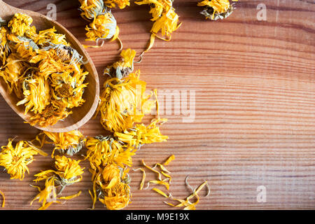 Getrocknete calendula Blüten auf einem Löffel aus Holz mit Kopie Raum Stockfoto