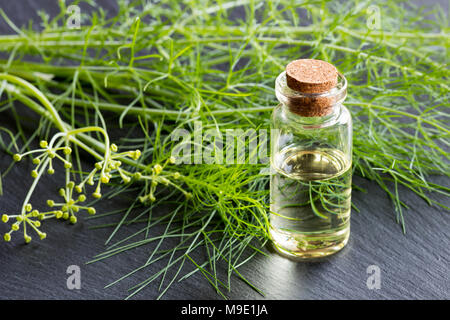 Eine Flasche Fenchel ätherisches Öl mit frischem Fenchel Zweige Stockfoto