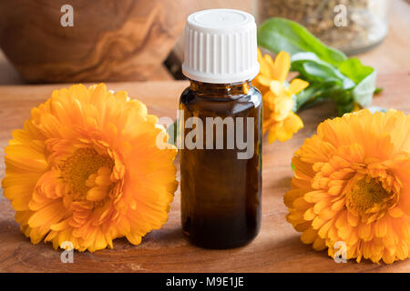 Eine dunkle Flasche calendula Öl mit Calendula Blüten im Hintergrund Stockfoto