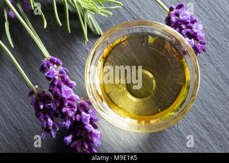 Lavendel ätherisches Öl in eine Glasschale mit frischem Lavendel Zweige, Ansicht von oben Stockfoto