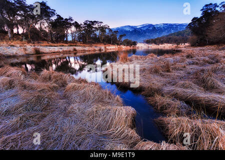 Kalten frostigen Wintermorgen in Snowy Mountains National Park von Australien auf crackenback See mit rostigen Gras bedeckt von Eis und Frost im Hinblick auf Stockfoto