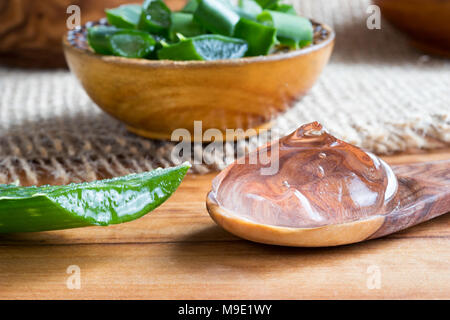 Aloe vera Gel auf einem Löffel, mit Stücken von Aloe Vera Blätter im Hintergrund Stockfoto