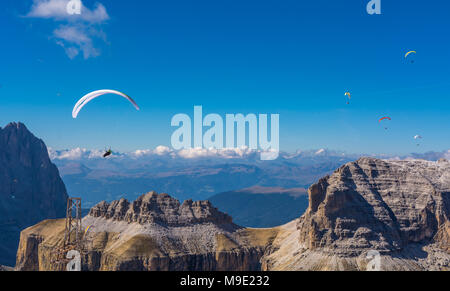 Gleitschirme, Gleitschirmfliegen über der Sella Group, Sella Towers und Piz Boe, Dolomit, Val di Fassa, Provinz Trentino, Italien Stockfoto