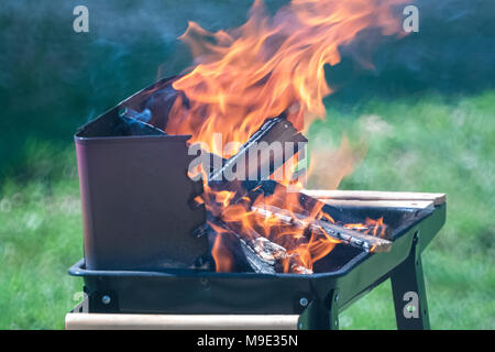 Protokolle brennen in der Grill auf dem Hintergrund des grünen Grases. Stockfoto