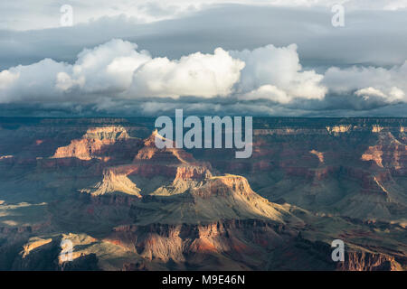 Morgen Wolken, Yavapai Point, Grand Canyon NP, AZ, USA, Mitte September, von Dominique Braud/Dembinsky Foto Assoc Stockfoto