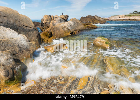 Wellen, die über Shoreline (Carmelo Bildung), Weston Beach, Point Lobos State Naturpark, CA, USA, von Dominique Braud/Dembinsky Foto Assoc Stockfoto