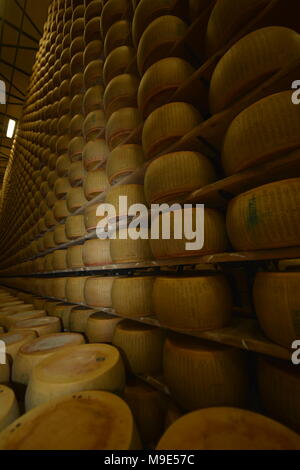 Parmesan Lagerung in Reggio Emilia, Italien Stockfoto