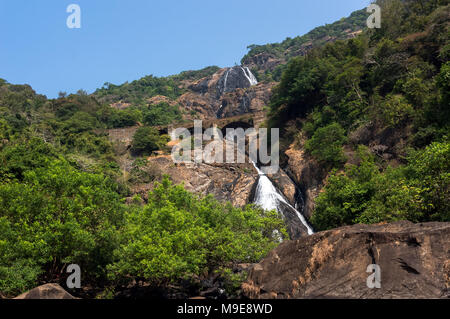 Wasserfall in den Bergen unter den grünen Bäumen im Dschungel. Indien. Stockfoto