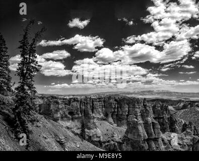 Mit Blick auf den Canyon mit Kiefern auf Hügel, weite felsige Tal mit Sandstein spires unter Himmel mit whit Fluffy Clouds. Schwarz und Weiß. Stockfoto