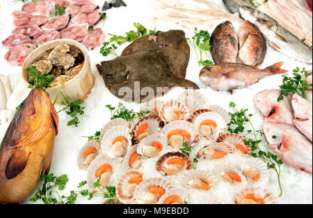 Verschiedene Meeresfrüchte auf Anzeige an einen Fisch Markt mit frischem Fisch, Schalentiere und öffnete Jakobsmuscheln oder Muscheln auf einem Bett von Crushed Ice mit Petersilie gar Stockfoto