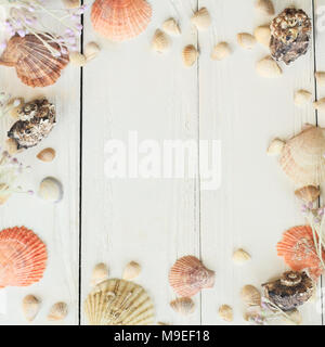 Natürliche Muscheln auf Holzplatten. Seaside Hintergrund Konzept. Platz für Text Stockfoto