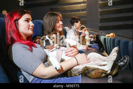 Elizabeth Garrett (links) mit ihren Staffordshire Bull Terrier im Herbst, bevor ein Hundefreundliches Screening von Wes Anderson's neuen Film "Isle of Dogs" an der Harbour Lights Picturehouse in Southampton. Stockfoto