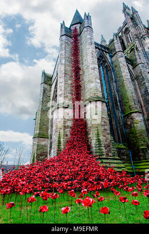 Hereford Cathedral weinende Fenster Stockfoto