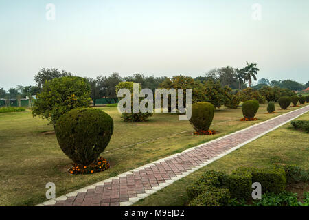 Orange Baum im Park in der Nähe von Lotus Tempel in Neu Delhi, Indien. Die Strecke ist von wunderschönen Bäumen und Ziersträuchern umgeben. Das Schnitzen von foliag Stockfoto