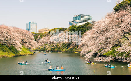 Menschen versammeln sich auf Boote zu erhalten auf dem Graben um das Imperial Palace in Tokio, Japan zu Zeile die Kirschblüten, wie sie in der Nähe von vollen Blüte zu sehen Stockfoto