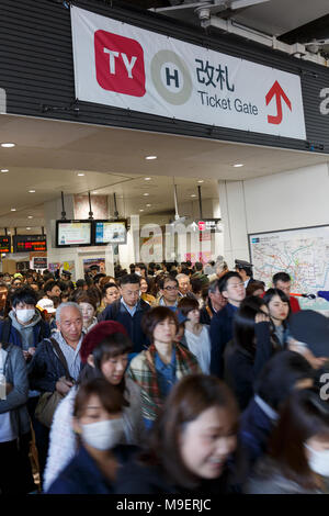 Tokio, Japan, 25. Feb 2018. Massen von Menschen zu Fuß von Naka-Meguro Station voll Kirschblüten in Meguro Fluß am März 25, 2018 blühte zu sehen. Die Menschen genießen in Tokio die Kirschbäume in voller Blüte am Sonntag, dem 25. März. Meguro Fluß läuft für ca. 7,82 km durch Setagaya, Shinagawa, Meguro Stationen in der Innenstadt von Tokio, die jedes Jahr viele Besucher kommen die Kirschbäume blühen Bäume entlang der Ufer im Frühjahr zu sehen. Credit: Rodrigo Reyes Marin/LBA/Alamy leben Nachrichten Stockfoto