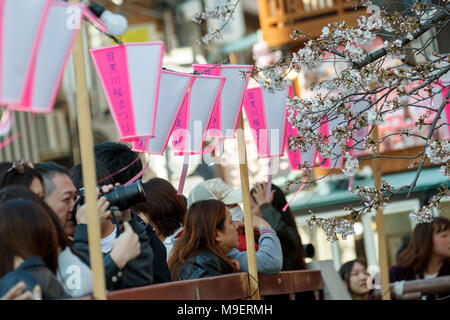Tokio, Japan, 25. Feb 2018. Die Menschen genießen die voll erblühte Kirschblüten in Meguro Fluss am 25. März 2018. Die Menschen genießen in Tokio die Kirschbäume in voller Blüte am Sonntag, dem 25. März. Meguro Fluß läuft für ca. 7,82 km durch Setagaya, Shinagawa, Meguro Stationen in der Innenstadt von Tokio, die jedes Jahr viele Besucher kommen die Kirschbäume blühen Bäume entlang der Ufer im Frühjahr zu sehen. Credit: Rodrigo Reyes Marin/LBA/Alamy leben Nachrichten Stockfoto