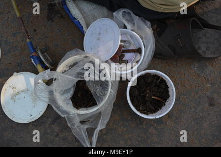 Belur, West Bengal, Indien. 25. März 2018. Aternoon Angeln am Fluss Hoogly. Credit: Rupa Ghosh/Alamy Leben Nachrichten. Stockfoto