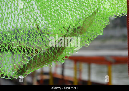 Belur, West Bengal, Indien. 25. März 2018. Aternoon Angeln am Fluss Hoogly. Credit: Rupa Ghosh/Alamy Leben Nachrichten. Stockfoto