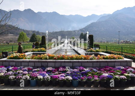 März 25, 2018 - Srinagar, Jammu und Kaschmir, Indien - Touristen, im größten tulip Garten des weltberühmten Asien in Srinagar Sommer Hauptstadt des indischen Teil Kaschmirs. Mit 20 lakh Tulpen von 46 Sorten, die in den Schoß, Asiens größte Tulip Garten mit Blick auf den weltberühmten Dal Lake hier wurde am Sonntag, 25. April 2018 offen für Besucher geworfen und markiert den Beginn der neuen touristischen Saison im Tal. Tausende von Touristen besucht die Asien grösste tulip Garten heute auf seiner Eröffnung. Credit: ZUMA Press, Inc./Alamy leben Nachrichten Stockfoto