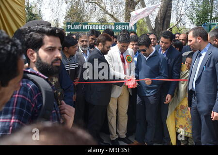 März 25, 2018 - Srinagar, Jammu und Kaschmir, Indien - Javid Mustafa Mir Minister für Blumenzucht und Tasaduq Mufti, Minister für Tourismus schnitt die Band das Tulip Garten um die Touristen zu öffnen. Mit 20 lakh Tulpen von 46 Sorten, die in den Schoß, Asiens größte Tulip Garten mit Blick auf den weltberühmten Dal Lake hier wurde am Sonntag, 25. April 2018 offen für Besucher geworfen und markiert den Beginn der neuen touristischen Saison im Tal. Früher bekannt als Siraj Bagh, der Indira Gandhi Memorial Tulip Garden im Jahr 2008 durch den damaligen Chief Minister Ghulam Nabi Azad geöffnet wurde. Credit: ZUMA Press, Inc./Alamy leben Nachrichten Stockfoto