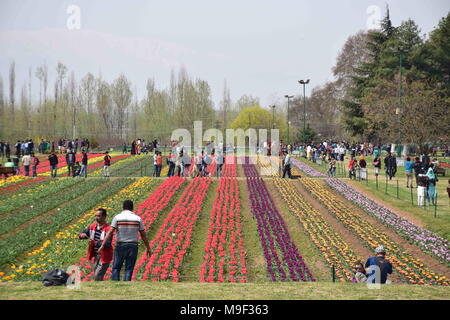 März 25, 2018 - Srinagar, Jammu und Kaschmir, Indien - Touristen, im größten tulip Garten des weltberühmten Asien in Srinagar Sommer Hauptstadt des indischen Teil Kaschmirs. Mit 20 lakh Tulpen von 46 Sorten, die in den Schoß, Asiens größte Tulip Garten mit Blick auf den weltberühmten Dal Lake hier wurde am Sonntag, 25. April 2018 offen für Besucher geworfen und markiert den Beginn der neuen touristischen Saison im Tal. Tausende von Touristen besucht die Asien grösste tulip Garten heute auf seiner Eröffnung. Credit: ZUMA Press, Inc./Alamy leben Nachrichten Stockfoto