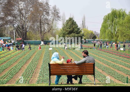 März 25, 2018 - Srinagar, Jammu und Kaschmir, Indien - Touristen, im größten tulip Garten des weltberühmten Asien in Srinagar Sommer Hauptstadt des indischen Teil Kaschmirs. Mit 20 lakh Tulpen von 46 Sorten, die in den Schoß, Asiens größte Tulip Garten mit Blick auf den weltberühmten Dal Lake hier wurde am Sonntag, 25. April 2018 offen für Besucher geworfen und markiert den Beginn der neuen touristischen Saison im Tal. Tausende von Touristen besucht die Asien grösste tulip Garten heute auf seiner Eröffnung. Credit: ZUMA Press, Inc./Alamy leben Nachrichten Stockfoto