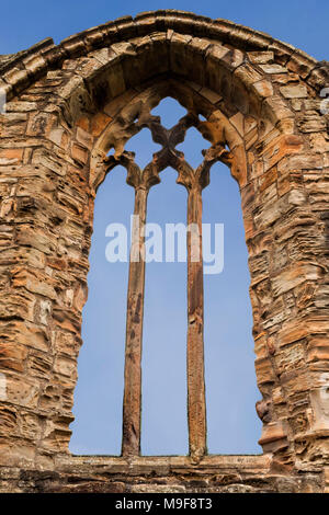 Triple Lanzetten mit gotischen Vierpass Maßwerk der geschnitzten Sandstein bei Finchale Priory in der Grafschaft Durham im Nordosten Englands Stockfoto