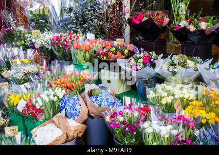 Eimer Sträuße, Blumen, Blumenstrauß, Yeomans Blumengeschäft Floristen auf der Regent's Park Road, Primrose Hill, Camden Stockfoto