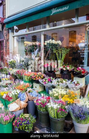 Yeomans Blumengeschäft Floristen auf der Regent's Park Road, Primrose Hill, Camden london Primrose Hill Stockfoto