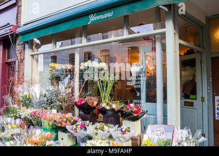 Yeomans Blumengeschäft Floristen auf der Regent's Park Road, Primrose Hill, Camden Stockfoto