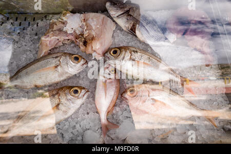 Frischer Fisch auf dem Markt in die Tiefkühltruhe. Frischer Fisch auf Eis auf dem Markt der Fischerei Stockfoto