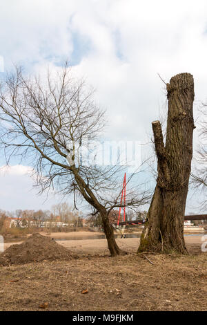 Magdeburg, Deutschland - 25 März 2018: Blick durch die zwei alten Bäume an der Brücke über den Wasserfall in Magdeburg. Stockfoto